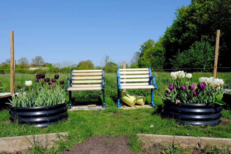 Filkins Allotments